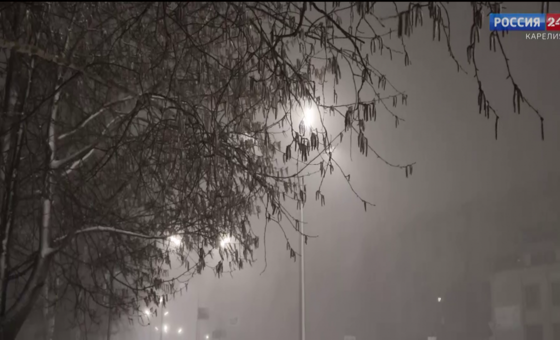 «Россия 24 — Карелия». 23.04.26