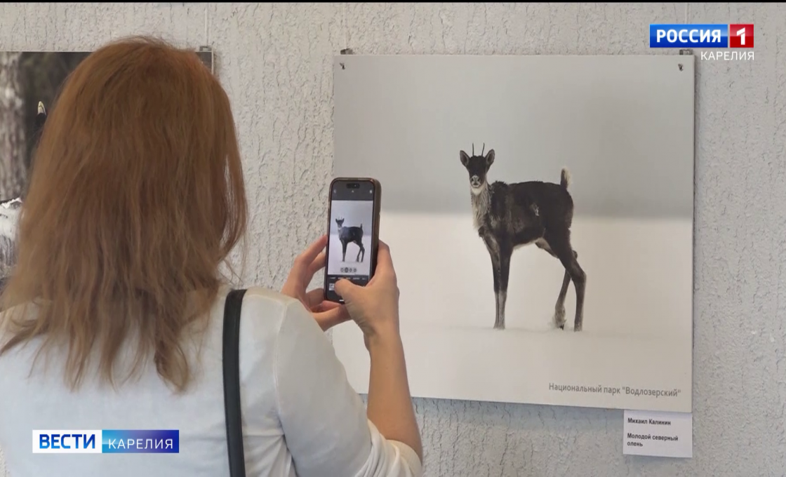 В Национальном театре открылась выставка фотографий природы Водлозерского парка