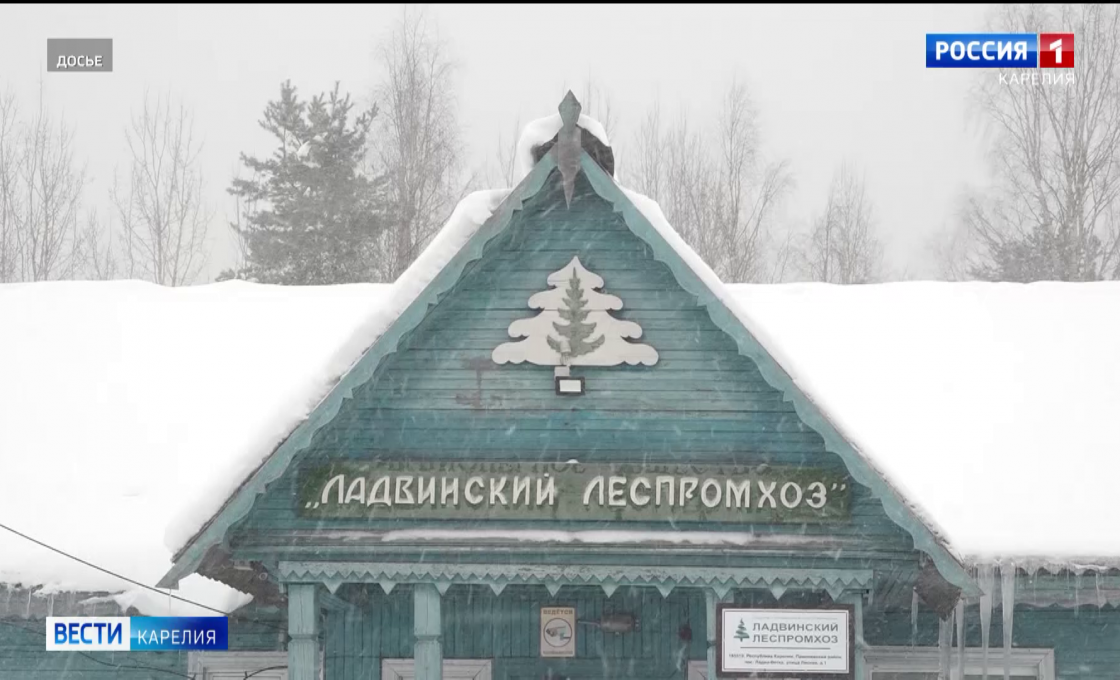 40 миллионов рублей долга: сотрудникам Ладвинского ЛПХ выплатили зарплату