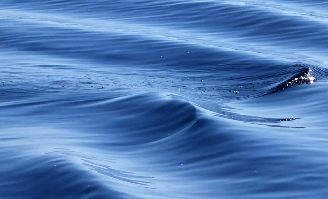 Лососинская плотина признана готовой к весеннему половодью