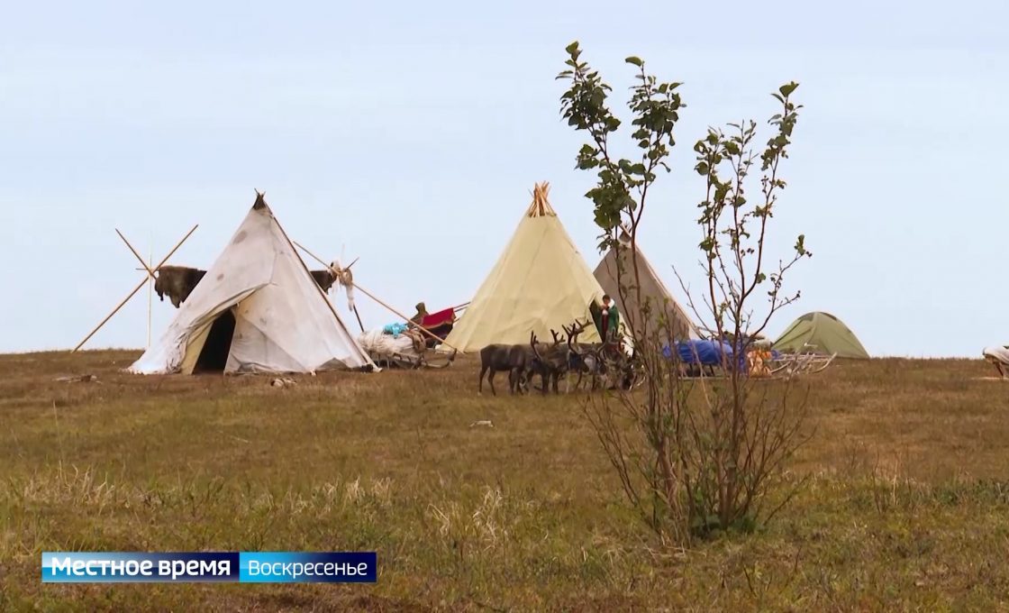 Вести. Арктический регион. 24.05.26