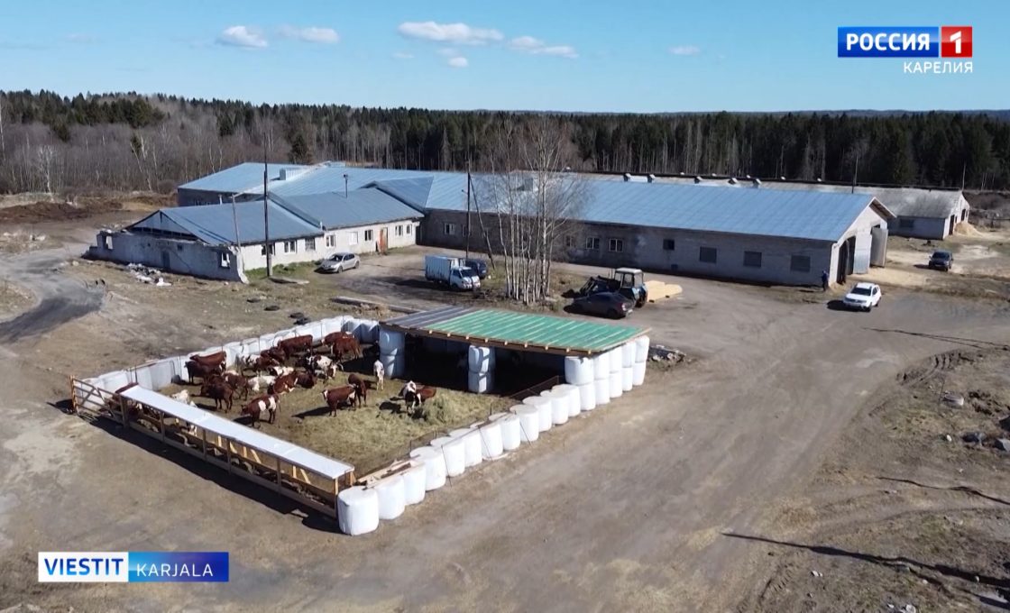 Vieljärven souhozu ruadau jo 70 vuottu
