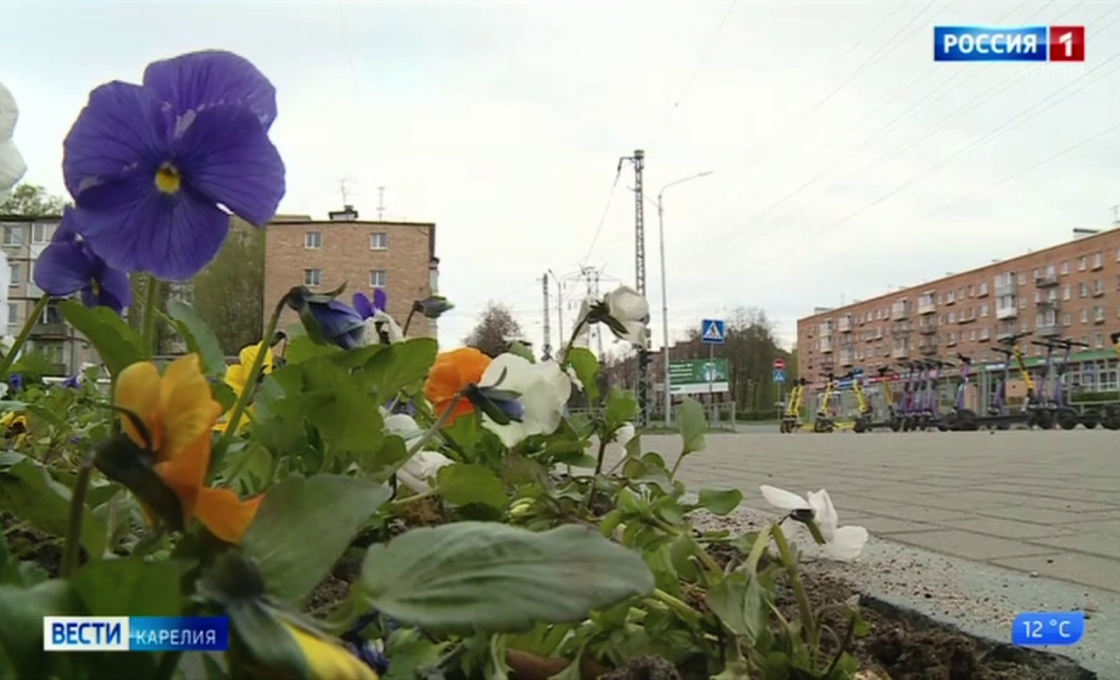 Где в Петрозаводске не хватает скамеек и урн?