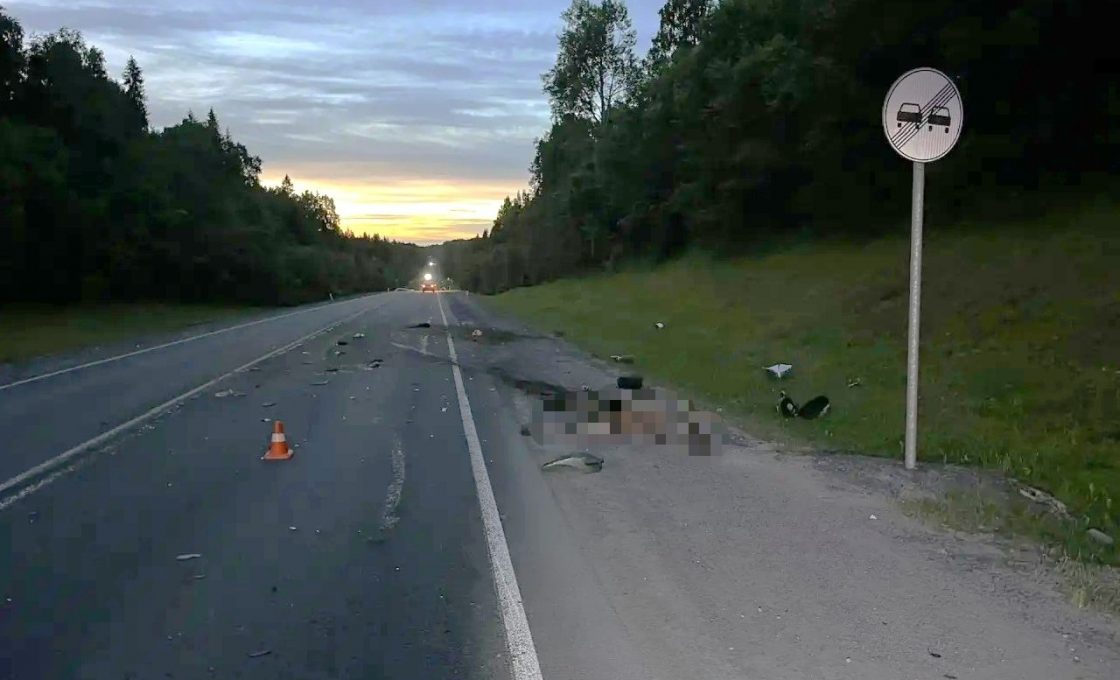 Петрозаводчанин погиб в ДТП с лосем на трассе «Кола»