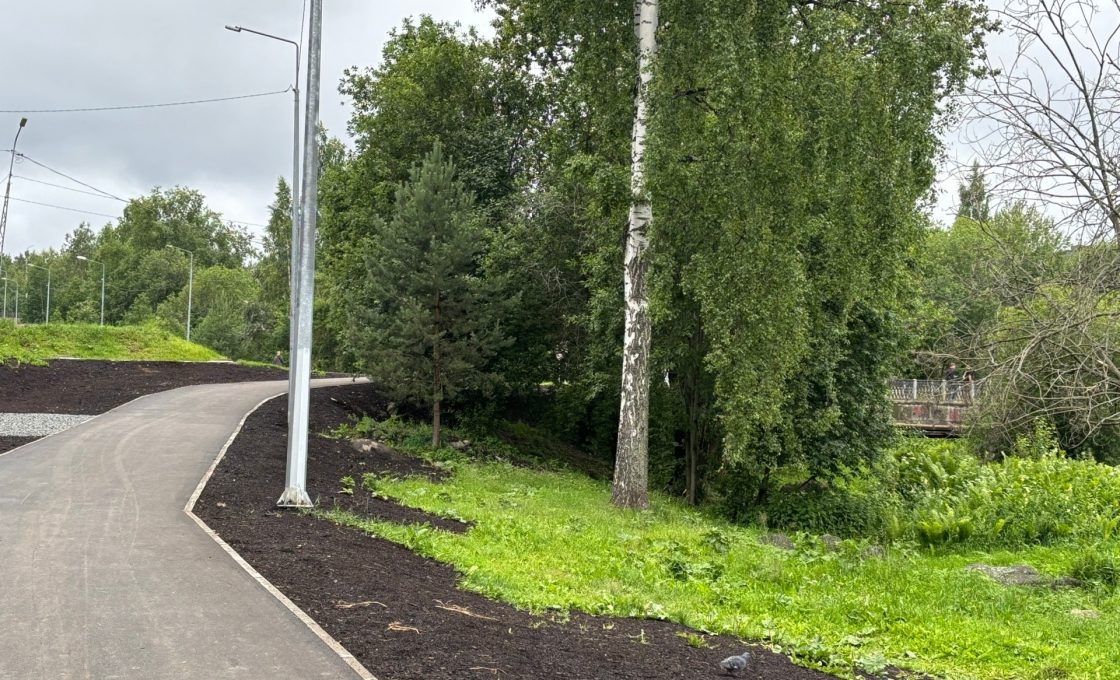 В Петрозаводске благоустроили аллею Выпускников