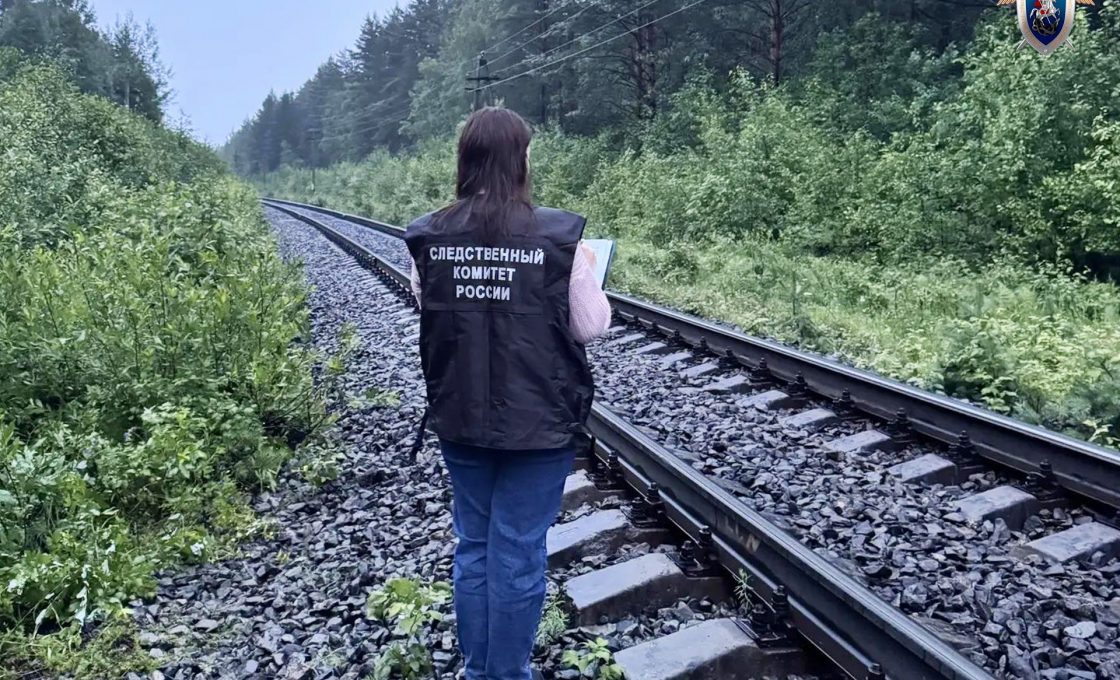 Мужчина погиб на железной дороге Пряжинском районе
