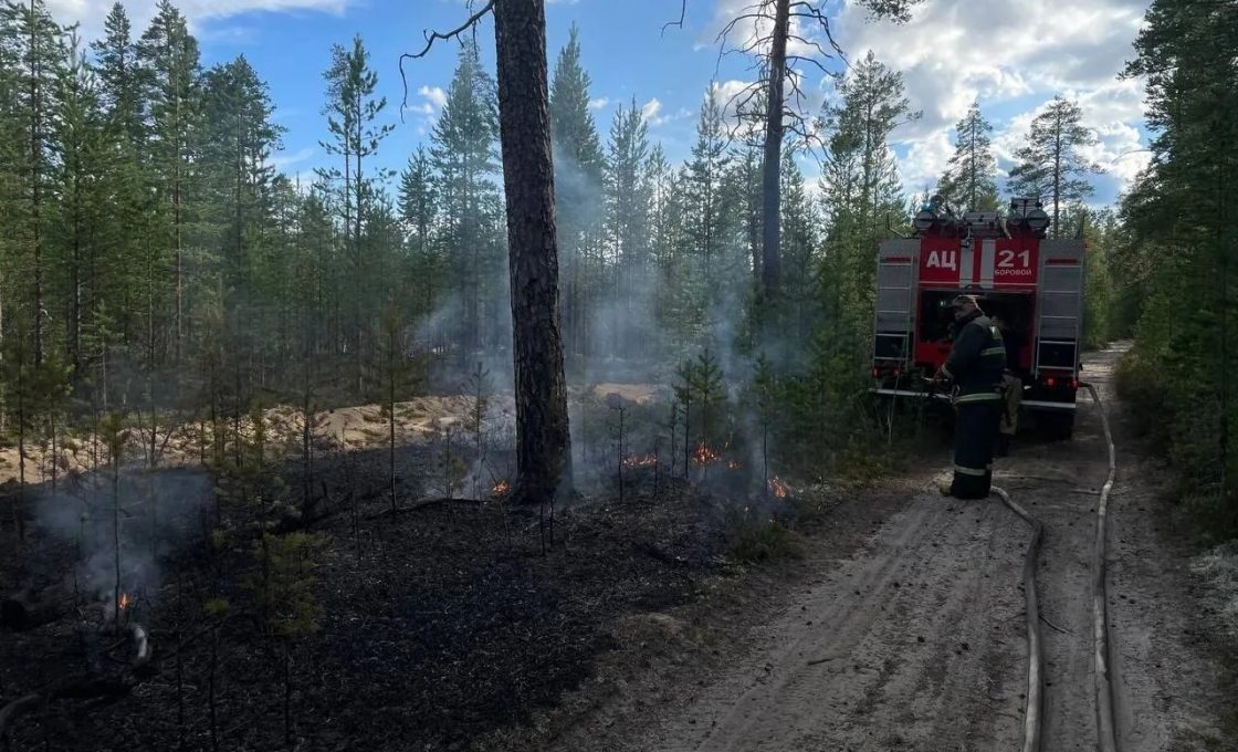 Лесной пожар потушили в Калевальском районе