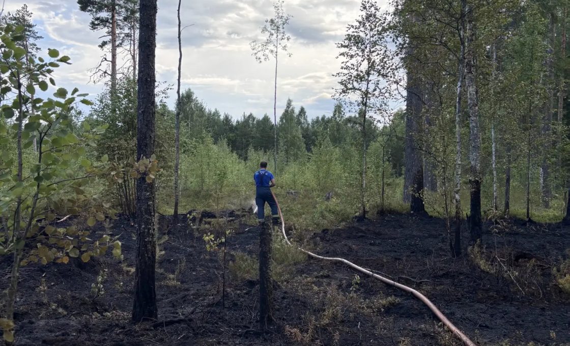 С начала пожароопасного сезона в Карелии потушили 60 лесных пожаров