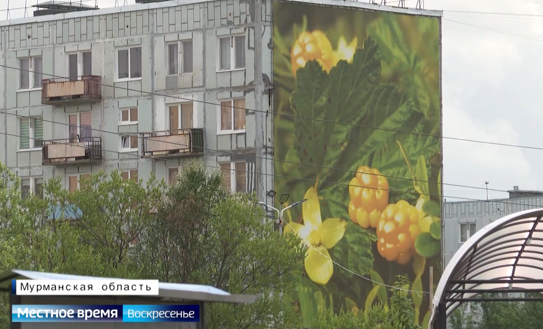 Вести. Арктический регион. 26.07.26.