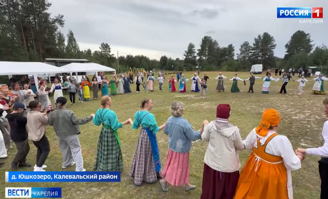 Лесной пожар оперативно ликвидировали неподалеку от поселка Боровой в Калевальском районе