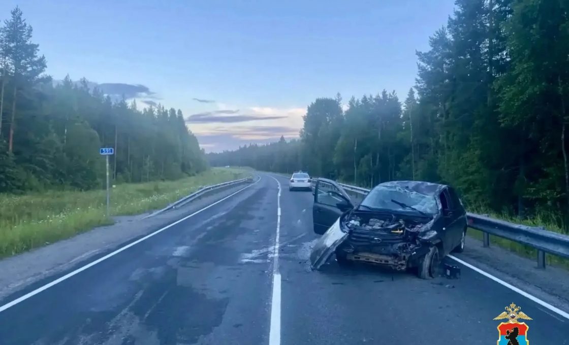 В Медвежьегорском районе водитель без прав погиб в ДТП