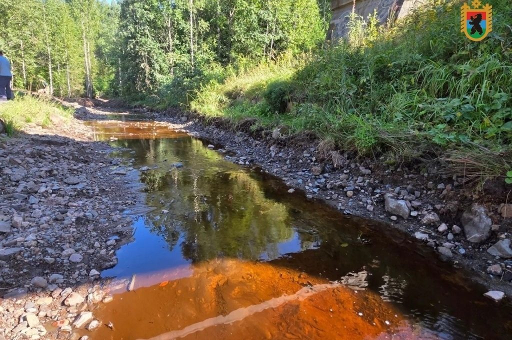 Расчистка реки Орзеги завершается раньше срока