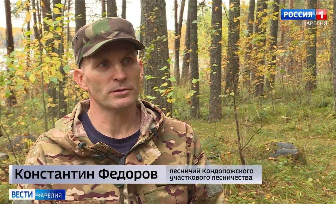 Лесничий из Карелии поборется за победу в федеральном этапе конкурса «Лучший по профессии»