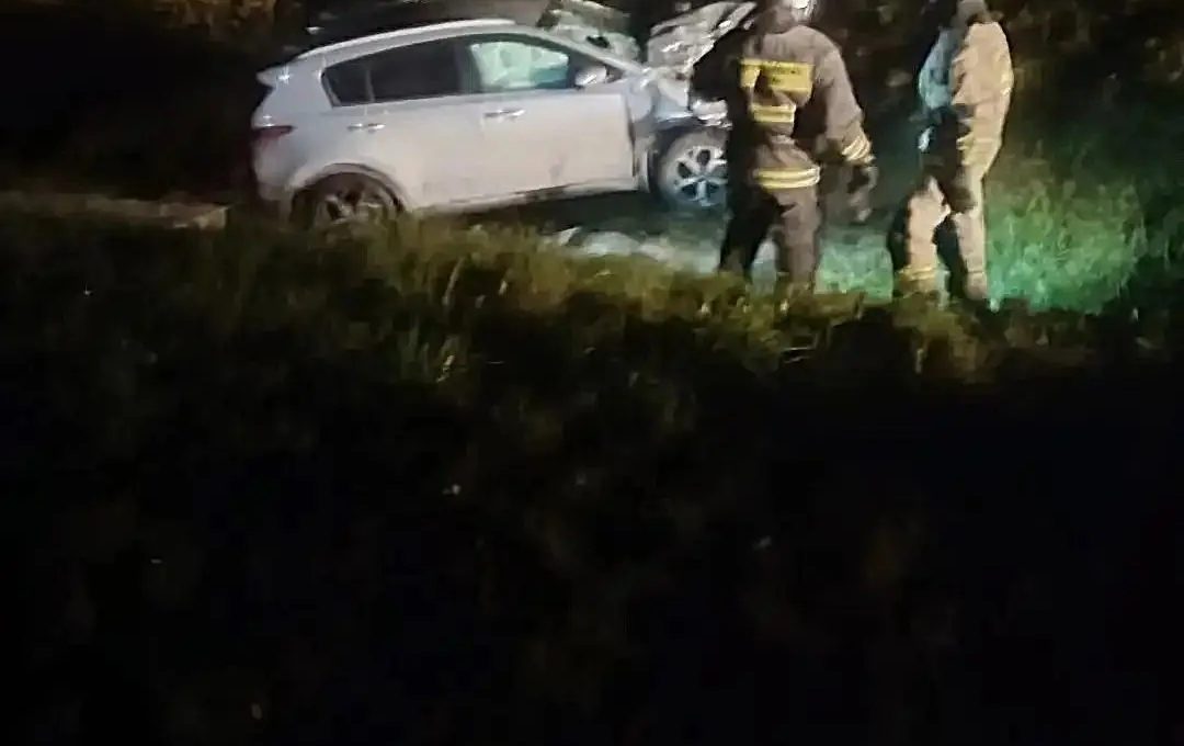 Автомобиль оказался в лесу после столкновения с лосем на трассе в Прионежском районе