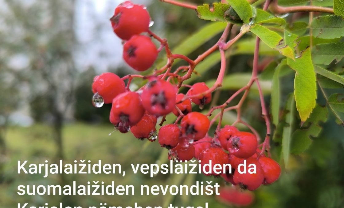 KARJALAIŽIDEN, VEPSLÄIŽIDEN DA SUOMALAIŽIDEN NEVONDIŠTON IŠTUND