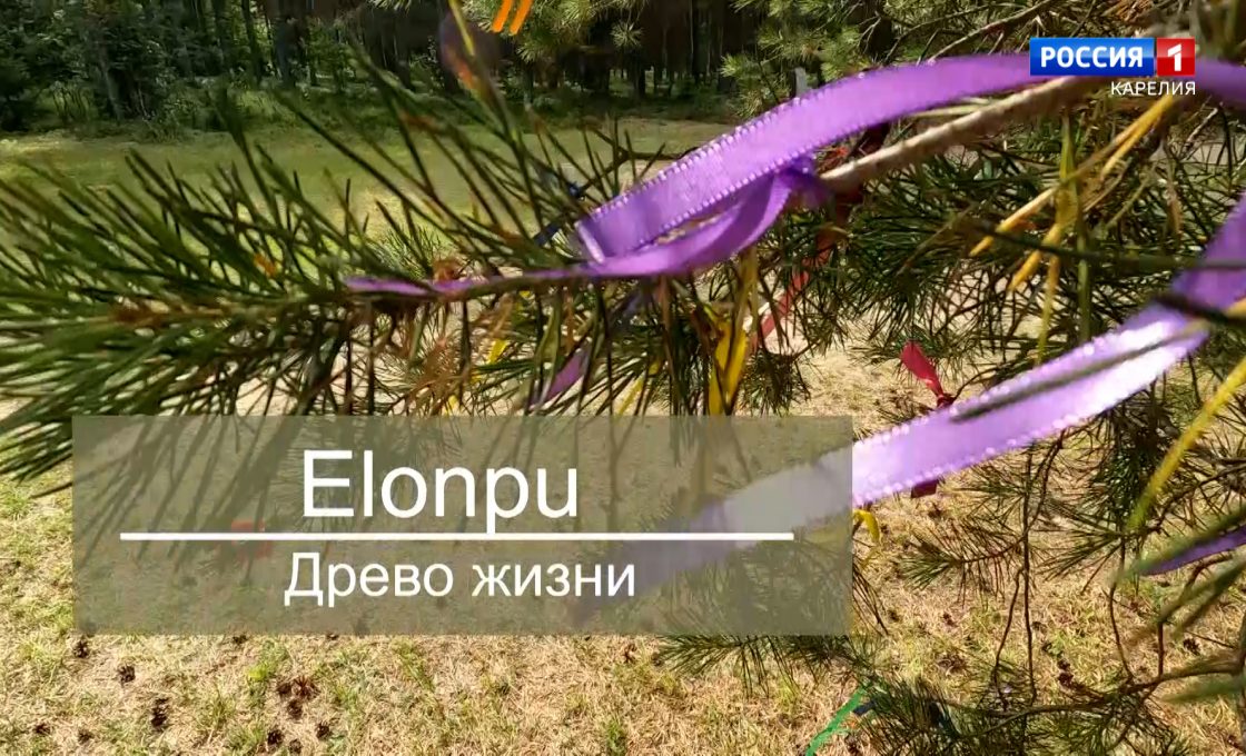 Elonpu / Древо жизни